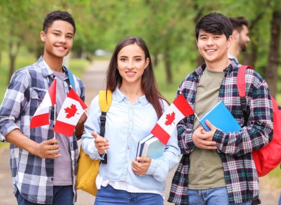 مهاجرت کاری بهتر است یا تحصیلی؟